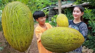 Bring sweet melon home and for juice | Sweet melon fruit drinking | Sros yummy cooking vlogs
