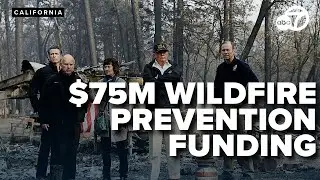 Sierra Pacific receives $75M from US Forest Service to combat wildfires