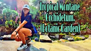Explore Botanic Gardens |Tropical Montane Orchidetum|