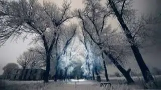 Winter - Vivaldi Remix by Lan House Z