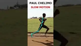 Paul Chelimo (Elite Runner) Running