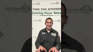 What You Need to Know about Rodent Infestations | Inside Pest Management with Versa-Tech&reg;