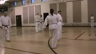 2015   Shinko Ryu   Sandy & Chuck Sparring