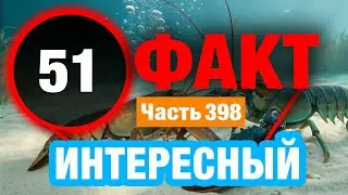 51 Интересный Факт В Который Сложно Поверить