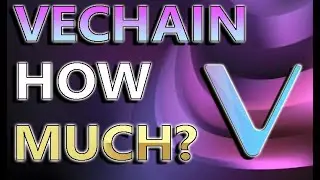 How Much VeChain Do You Need To Be A Millionaire