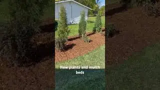 New plants and cedar mulch beds