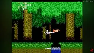 Derek isn't playing Ghost in Goblins for the Nintendo Entertainment System in Stranger Things 