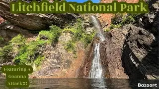 Litchfield National Park - Featuring a Goanna Attack!!!