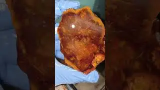 cutting open the agate I previously posted. #agate #rockhounding #carnelian #pnw #fyp