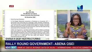 Ghana's Debt Restructuring: Rally round  government - Abena Osei