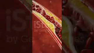 flow of blood and RBC #oficial #fact #shortsviral #viral