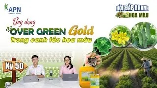 APN - CAN TƯỚI HỮU CƠ LỎNG CỦA TÂY BAN NHA | TƯỚI LÀ TỐT
