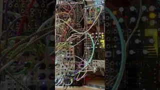 This might be my favorite generative ambient patch I&rsquo;ve ever made! #generative #eurorack #ambient
