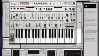 Lush101 in 
