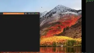 Selenium | Automation 365Scores Code | FAST MOTION | Python