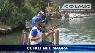 CEFALI NEL MAGRA