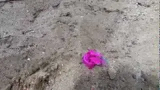 FP3X in Sand