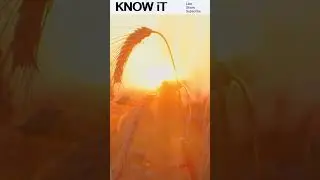 🍄 10 Exciting Facts About Fungicides 🍄| KNOW iT