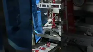 Automatic Multi Head Packaging Machine