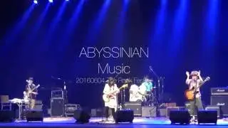 Abyssinian - Music 20160604 アビシニアン