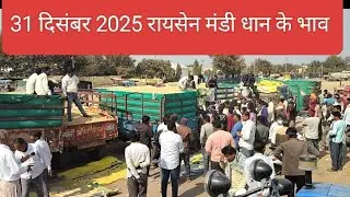 31 December 2025 Know the price of paddy in Raisen Mandi Mahesh Patel farming video 🌾🌾