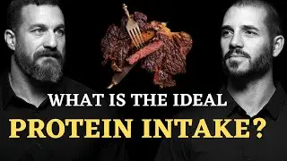 The TRUTH of Protein Consumption - Neuroscientist Andrew Huberman and Andy Galpins
