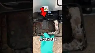 Знаете ли вы, что нужно чистить поддон для сбора жира в холодильнике? 😱 #советыпочистке