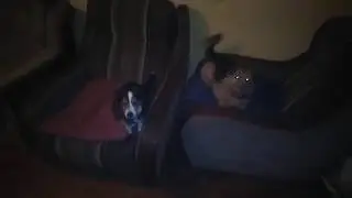 Nox in Bella (Nox and Bella)