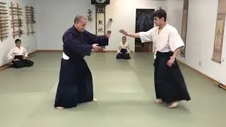 Aikido: Atemi - Striking Mechanics (Outward Handsword)