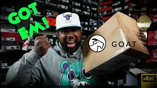 MY OFFICIAL 1st GOAT PURCHASE!!! *MY 10K GIFT*