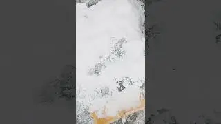 La neige  !!!!!!
