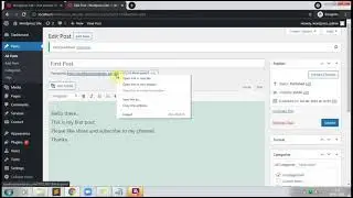 How to Add Posts in  WordPress