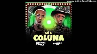 Monstrinho Truca feat. Pausado Fila - S&oacute; A Coluna (Afro House)