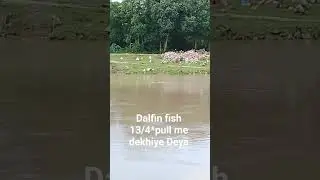 13/4 pull par dikha