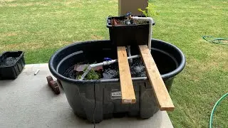 $150 Backyard Pond | Grow Fish & Propagate Plants