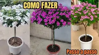 Fa&ccedil;a assim &Aacute;RVORE DE VINCA, como fazer &aacute;rvore de vinca PASSO A PASSO 