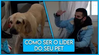 COMO SER O LÍDER DO SEU PET