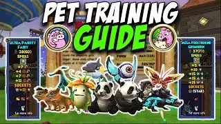 Wizard101: ПОЛНОЕ руководство по дрессировке домашних животных