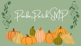🍂 Building a Wool Farm 🍂 PunkinPatch SMP 🍂
