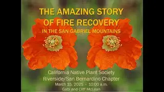 The Amazing Story of Fire Recovery in the San Gabriel Mountains with Gabi and Cliff McLean
