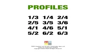 Human Design: Profiles