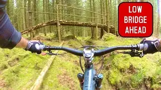 A hardtail on a (slightly) longer trail - Cotic BFe Max