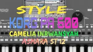 STYLE, BERBAYAR, CAMELIA IRWANSYAH, ASMARA ST 12, KORG PA 600, T 19 MAPPING T 25