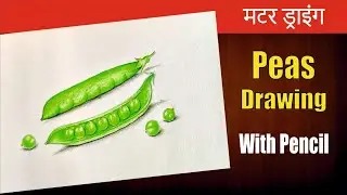 how to make peas drawing | easy green peas drawing | drawing of matar