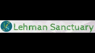 Live owl species cams at the Lehman Sanctuary - Grateful support by Comcast Lift Zone