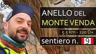 TRAIL RUNNING sui Colli Euganei - Sentiero 9 e Anello M.te Venda