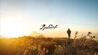Hirola - Perpetual Light