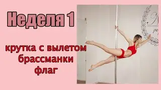 Pole dance для начинающих и продолжающих, тренировка 1