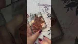 X is in teXtured notes