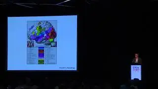OHBM 2016 | Keynote | David Poeppel | New Directions in the Neurobiology of Language